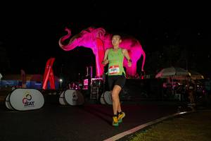 BIB: 
                            <button type="button" onclick="openModal(26543401)" class="btn btn-primary btn-sm float-right btn-popup" data-toggle="modal" data-target=".modal-high-quality">
                        <i class="fas fa-shopping-cart"></i> Add to Cart
                    </button>
                                            <button type="button" onclick="isThisMe(26543401, true)" class="btn btn-success btn-sm float-right btn-popup btn-isme hidden" data-toggle="tooltip" data-placement="bottom" title="นี่คือรูปของคุณใช่ไหม คลิกที่นี่เพื่อเอาเข้าอัลบั้ม">
                        <i class="fas fa-plus"></i> Add to album
                    </button>
                    <button type="button" onclick="isThisMe(26543401, false)" class="btn btn-warning btn-sm float-right btn-popup btn-isnotme hidden">
                        <i class="fas fa-ban"></i> Remove from album
                    </button>